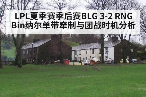 LPL夏季赛季后赛BLG 3-2 RNG Bin纳尔单带牵制与团战时机分析